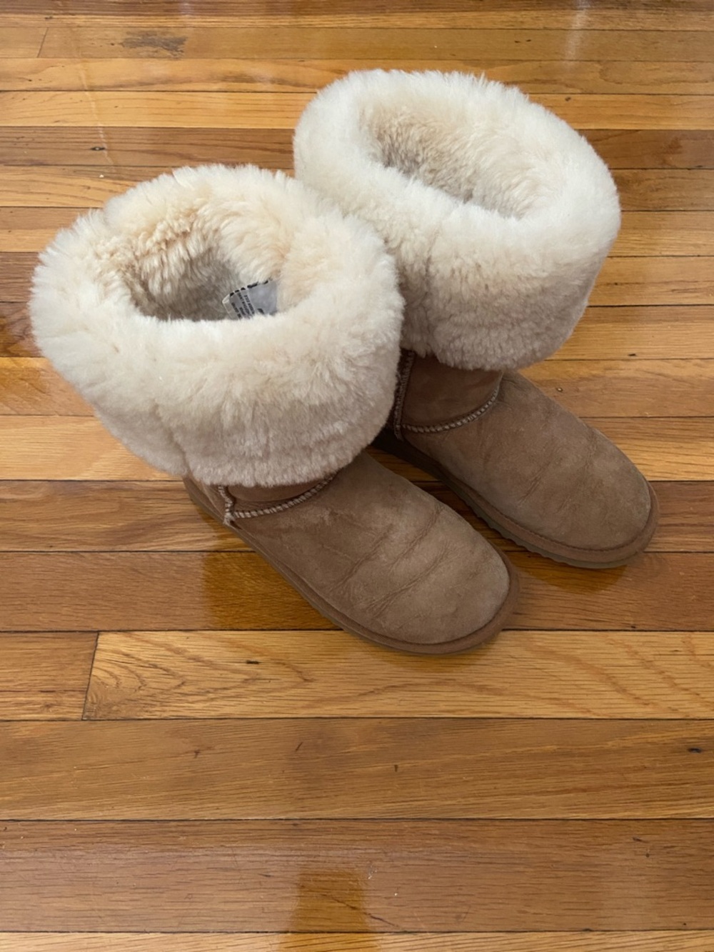 UGG Women's Short Shearling Cuff Boot in Chestnut Suede